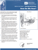 How Do We Hear?