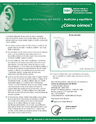 ¿Cómo oímos? (How Do We Hear?)