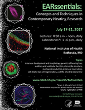 EARssentials 2017 promotional poster. Click to Download a PDF.
