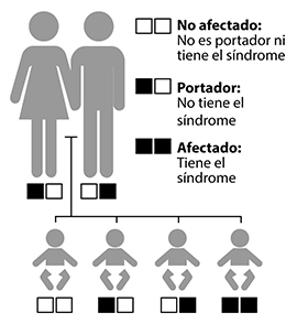 Por lo general, los portadores con un gen mutante de Usher tienen la audición, el equilibrio y la visión normales. A menudo, los portadores no saben que tienen un gen mutante.